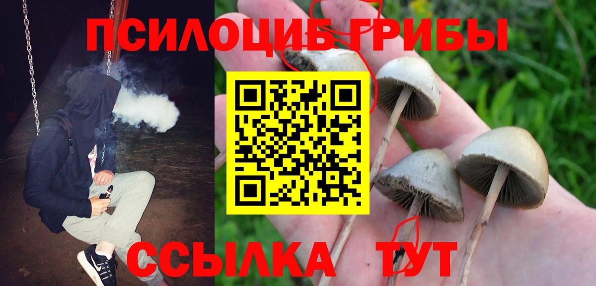 Галлюциногенные грибы GOLDEN TEACHER  Вход с VPN  Ейск  Псилоцибиновые грибы GOLDEN TEACHER 